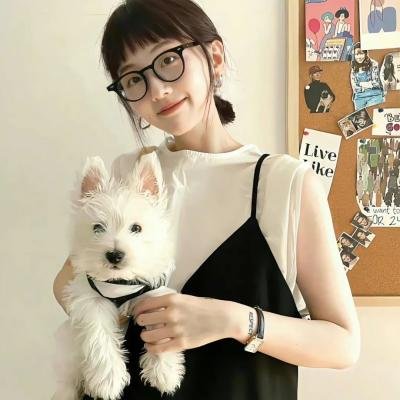 巴黎歌侣 海报